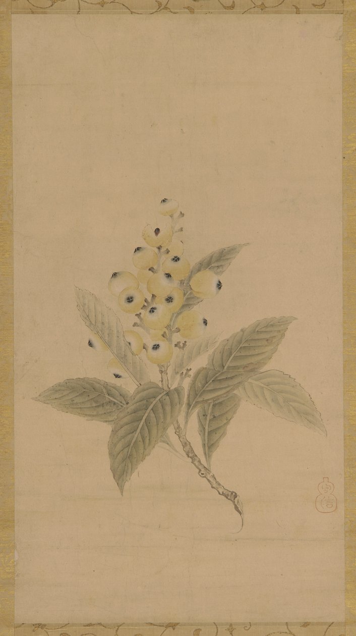 En gren af mispel, Edo-periode, 1600-tallet. af Kanō Tan’yū