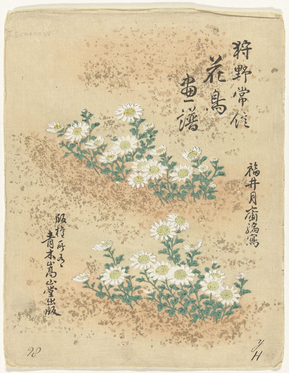 Indeks Blomster- og fugleskitser af Kano Tsunenobu (serietitel) Kano Tsunenobu kacho gafu (serietitel på objekt) af Kano Tsunenobu