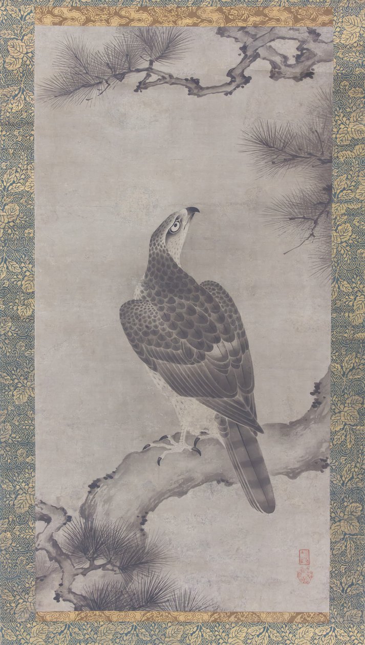 Hawk on a Pine Shoo zu, 1500-tallet. af Kano Yukinobu