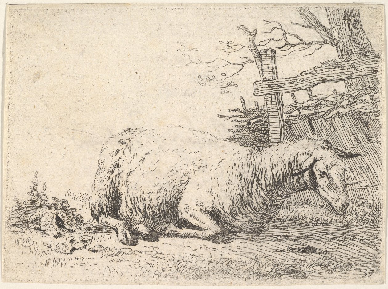 Et får, der ligger med benene foldet under kroppen ved siden af et plankeværk, hun..., ca. 1655. af Karel Du Jardin