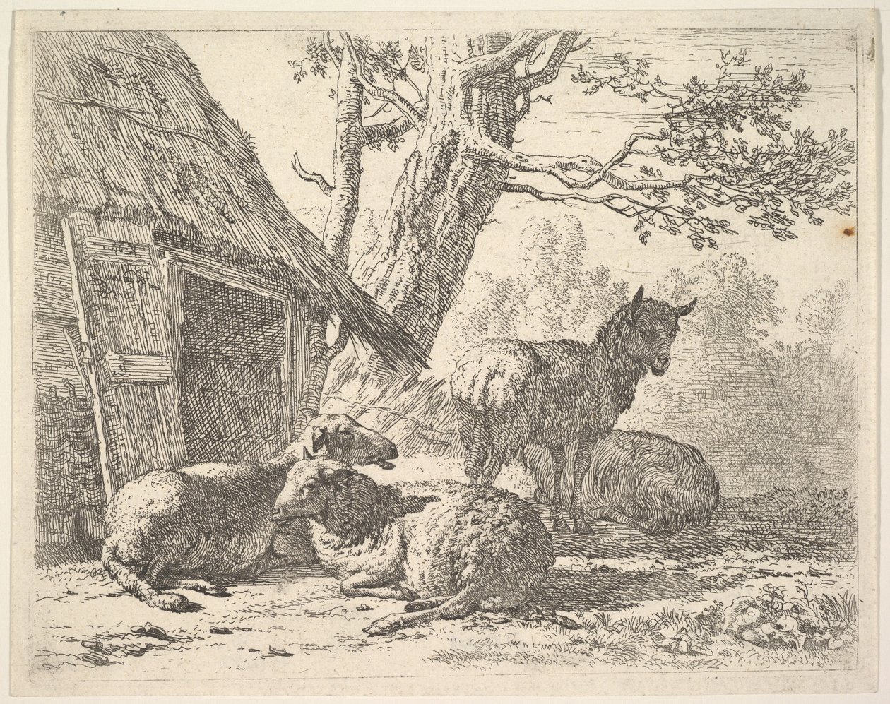 Fire får, et får står blandt tre andre liggende på jorden ved siden af et skur med den..., 1658. af Karel Du Jardin