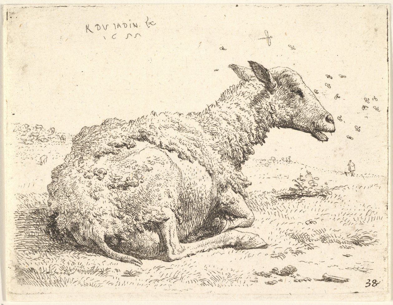 Delvist klippede får liggende i græsset med insekter svævende omkring hovedet, 1655. af Karel Du Jardin