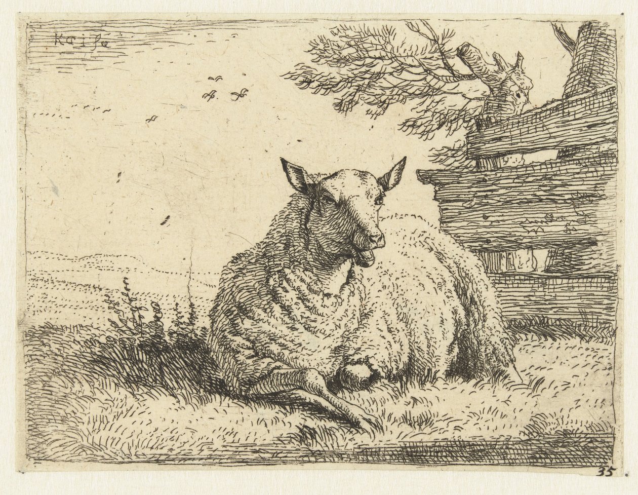 Får ved et hegn af Karel Du Jardin