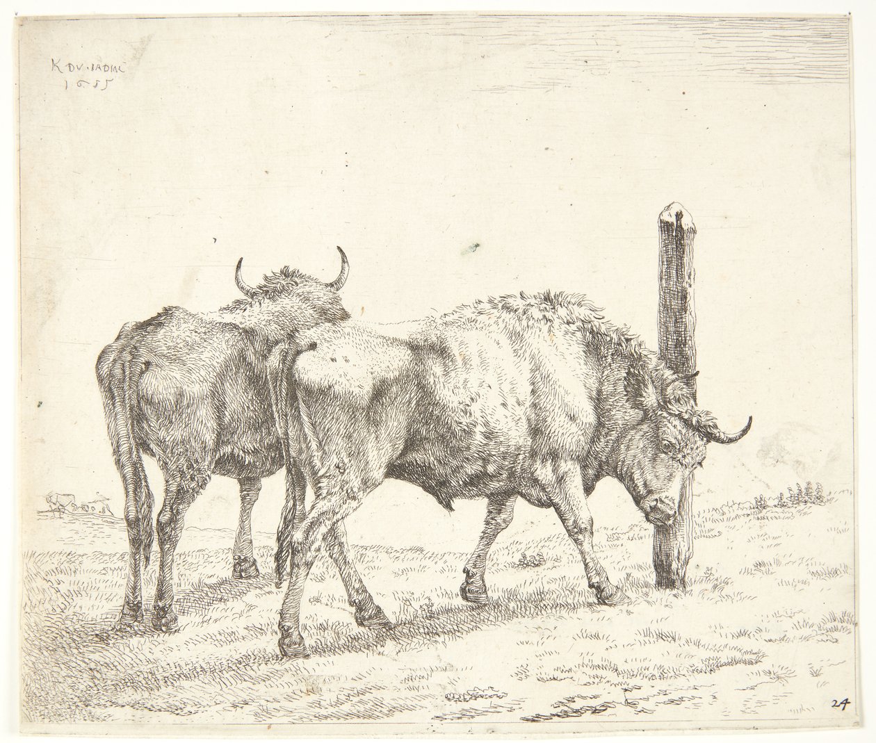 De to okser af Karel Du Jardin