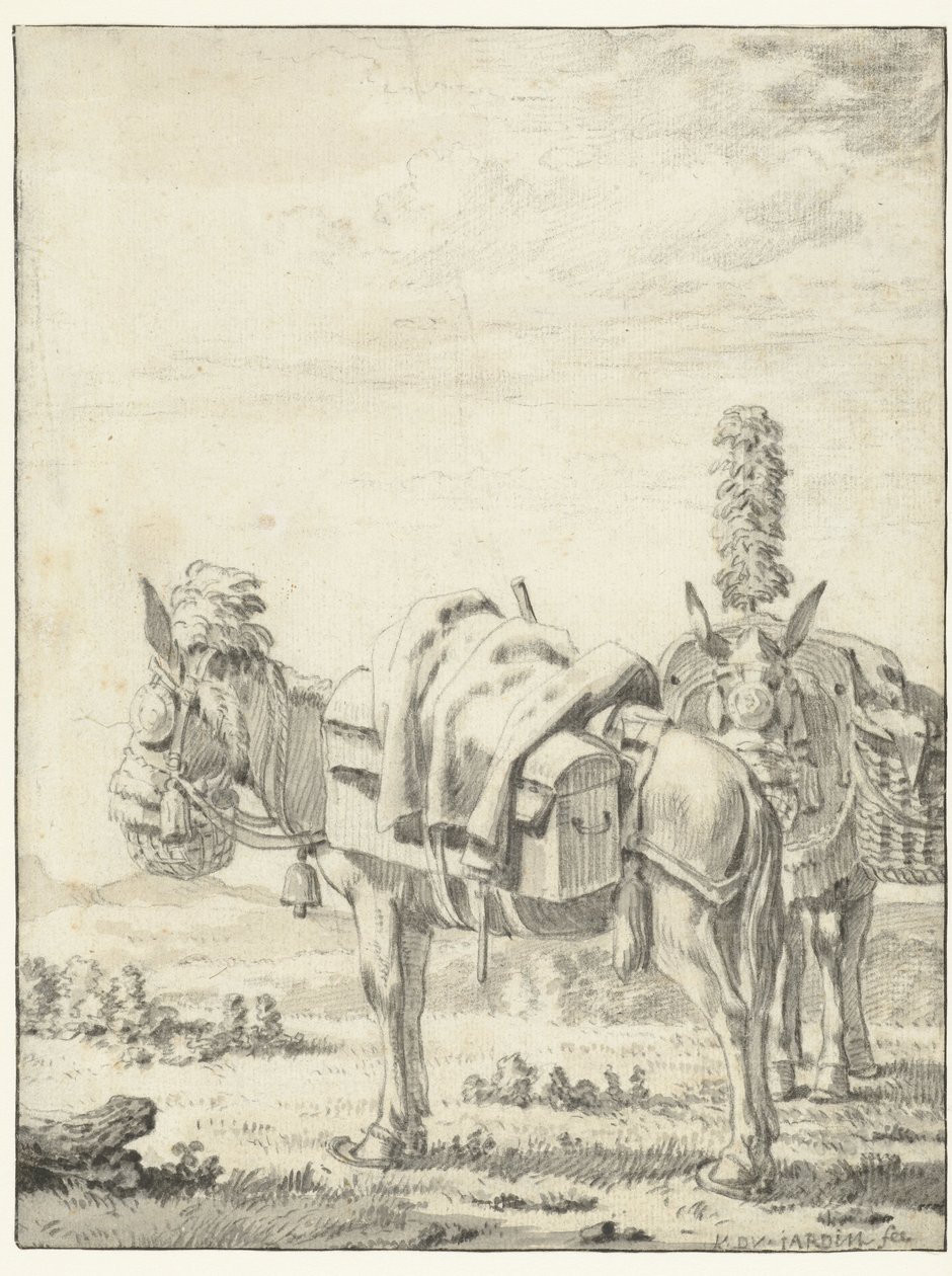 To muldyr af Karel Du Jardin