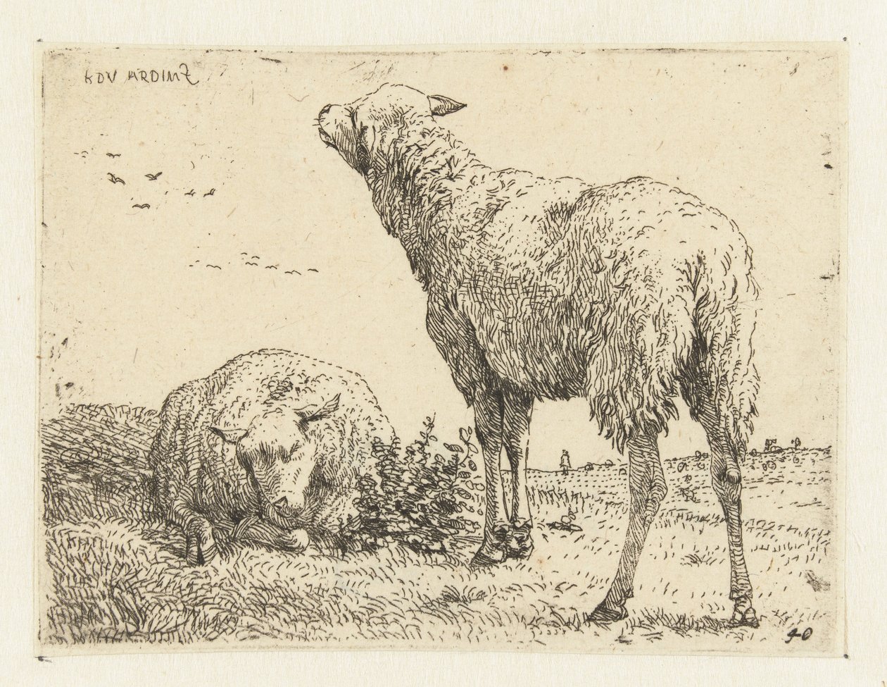To får af Karel Du Jardin