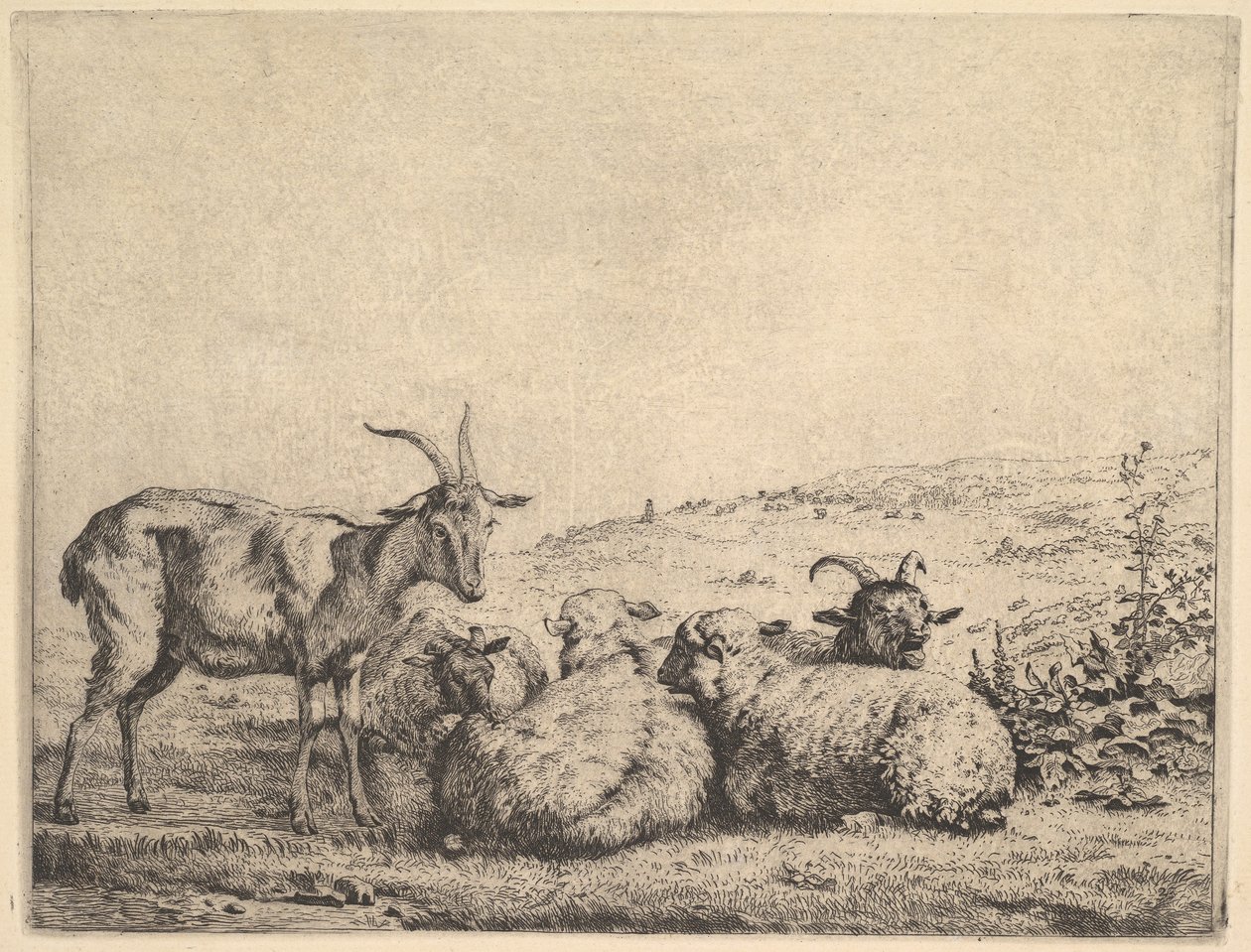 To geder og tre får, 1655. af Karel Du Jardin