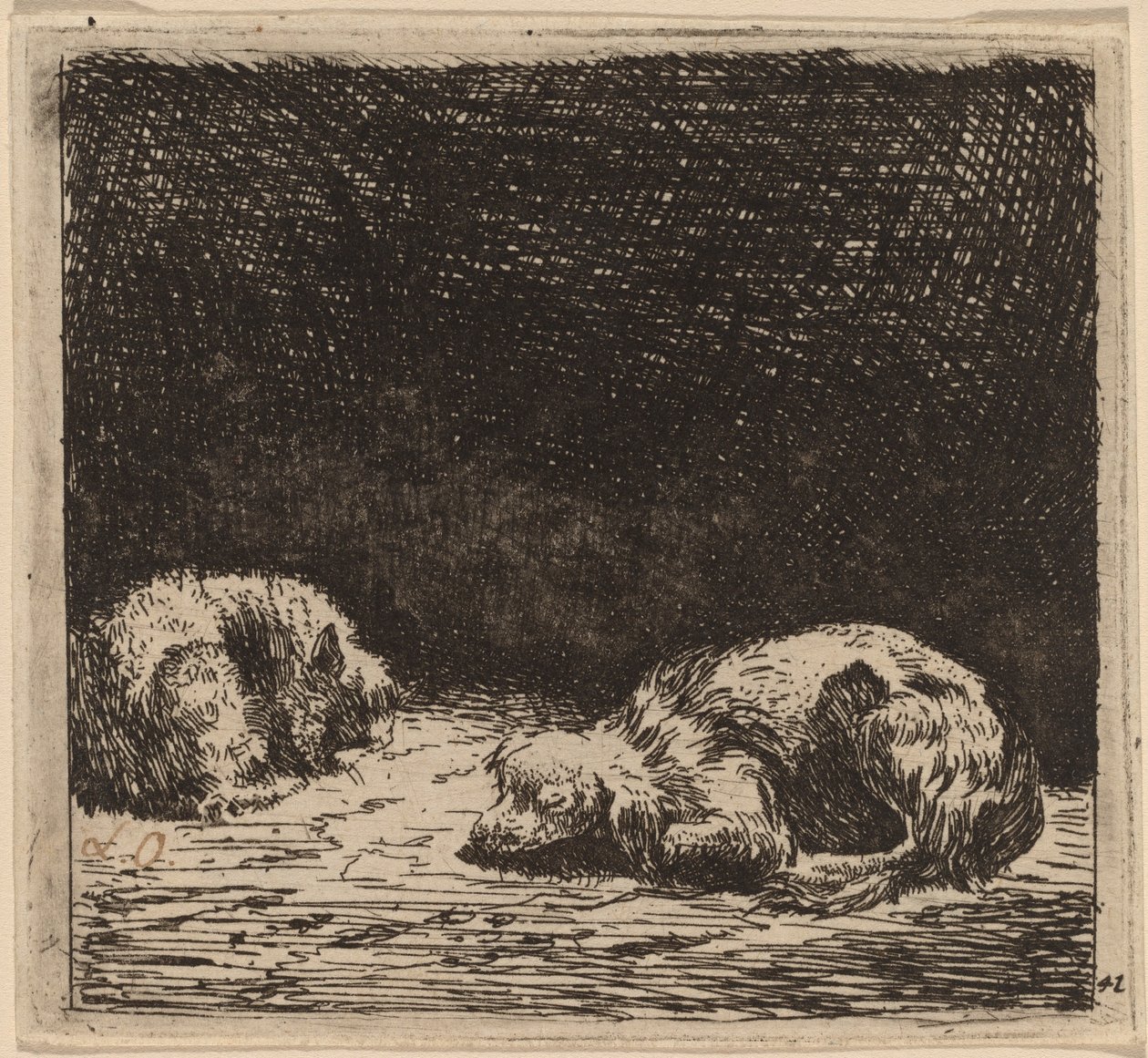 Hund og kat af Karel Dujardin