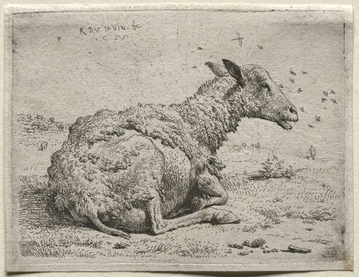 Fårene og Fluerne af Karel Dujardin