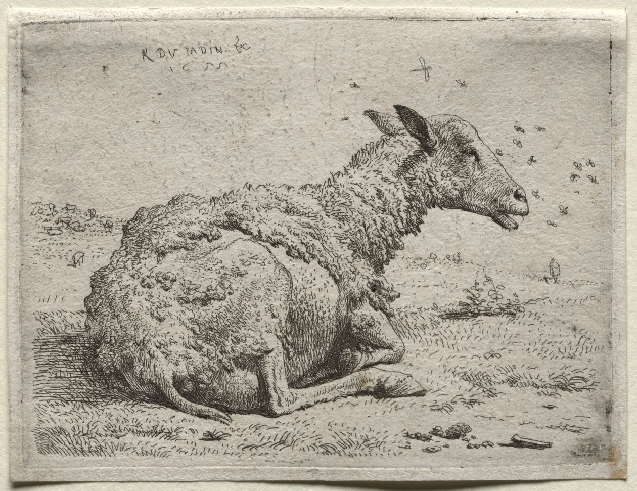 Fårene og Fluerne. af Karel Dujardin