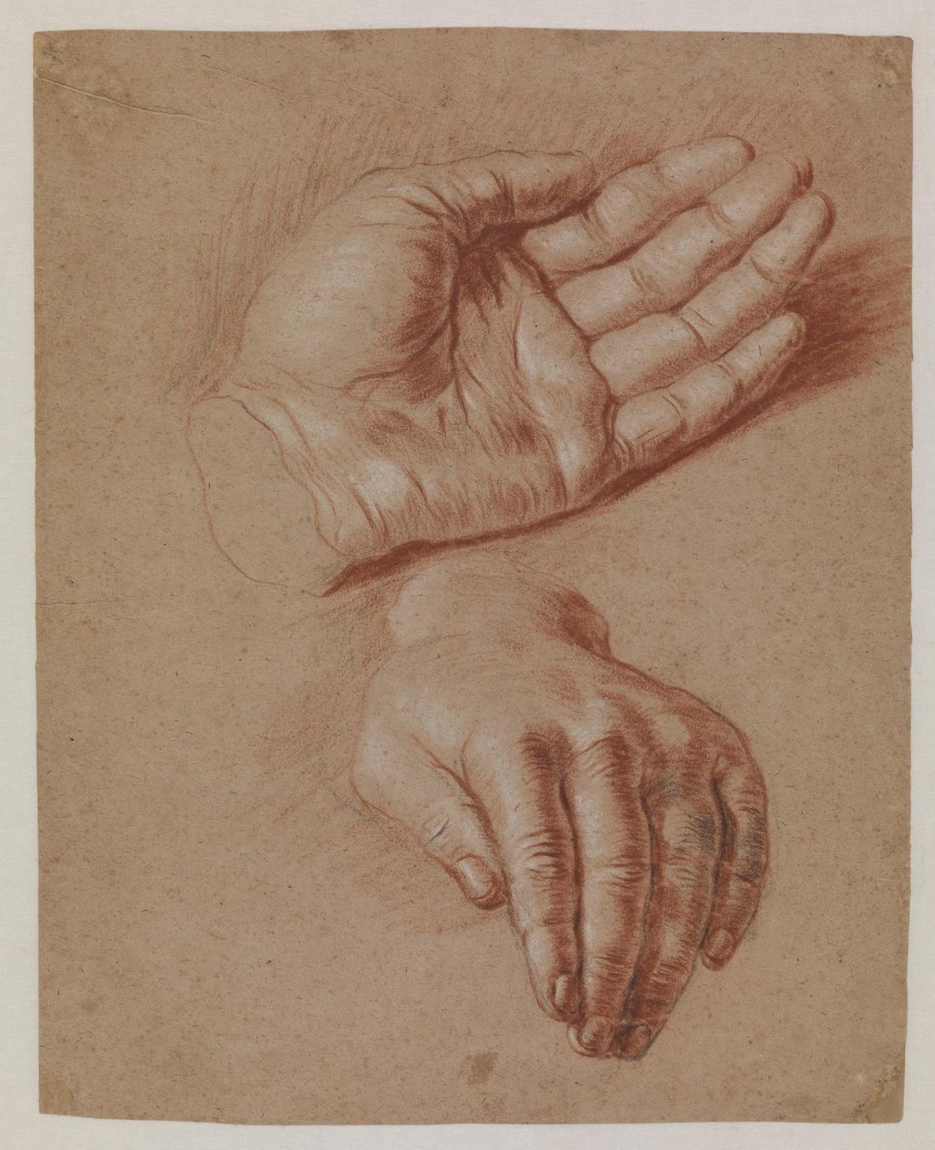 Studier af to hænder. af Karel van III Mander