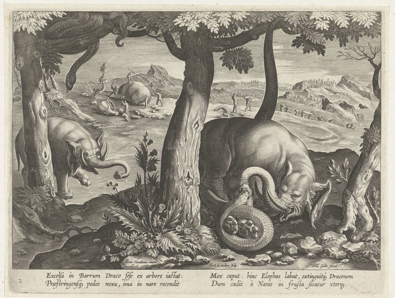 Olifant mødte slang i kamp Jachttaferelen (serietitel) Jagten på vildt, fugle og fisk i Bestiary (serietitel) af Karel van Mallery (attributed to)