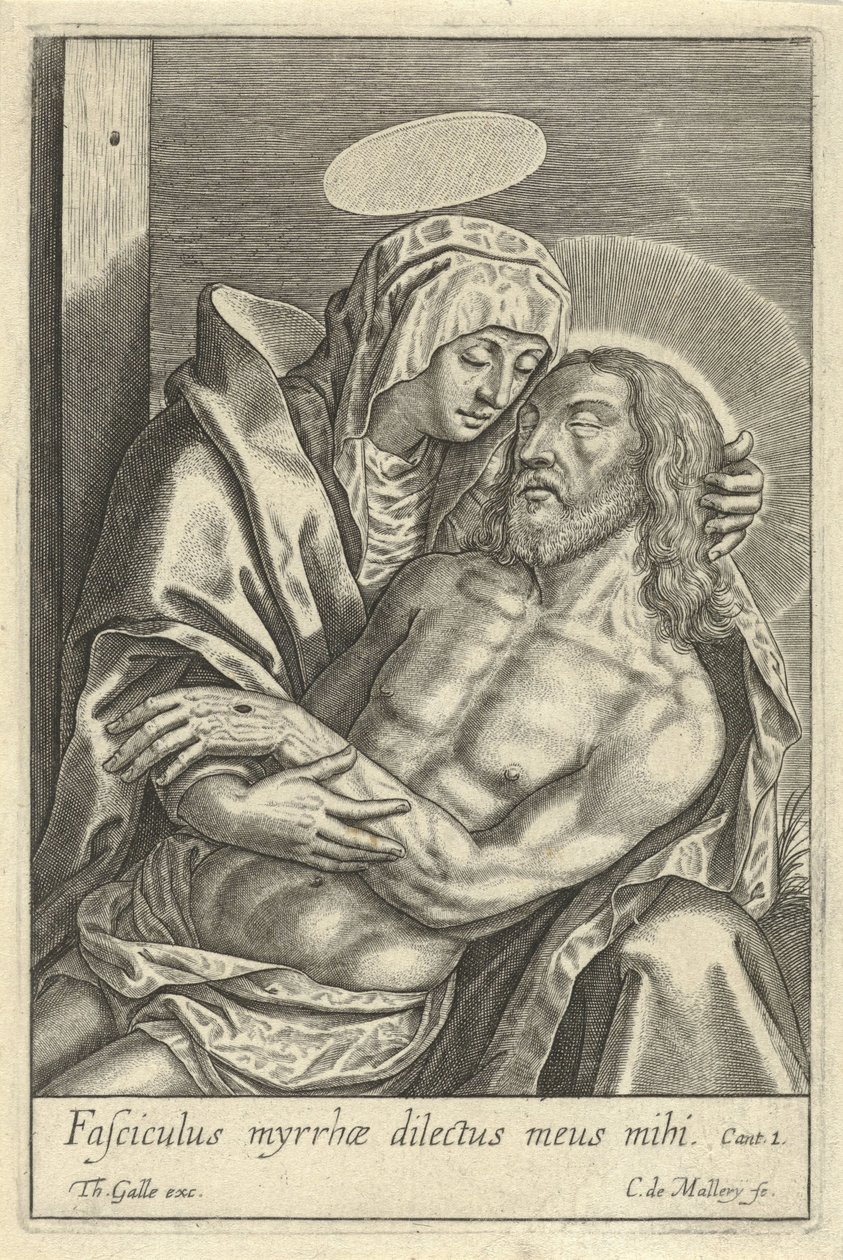 Pieta af Karel van Mallery