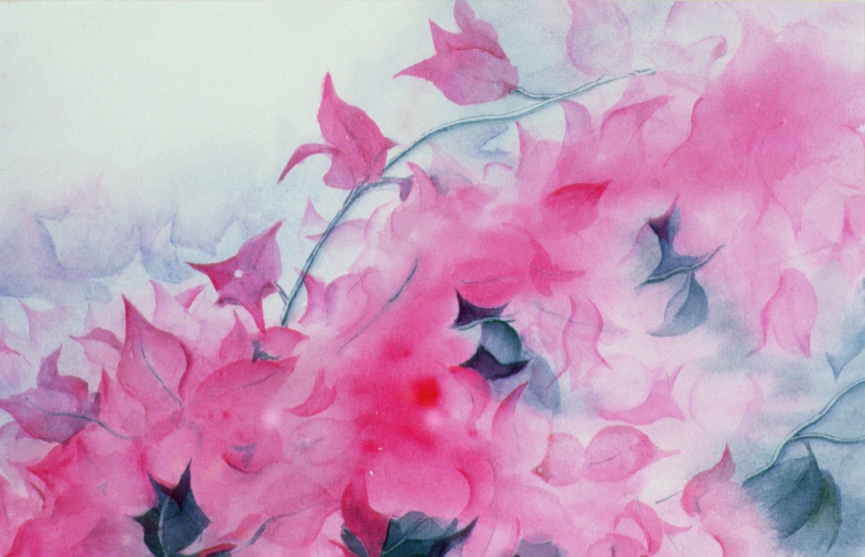Bougainvillia af Karen Armitage