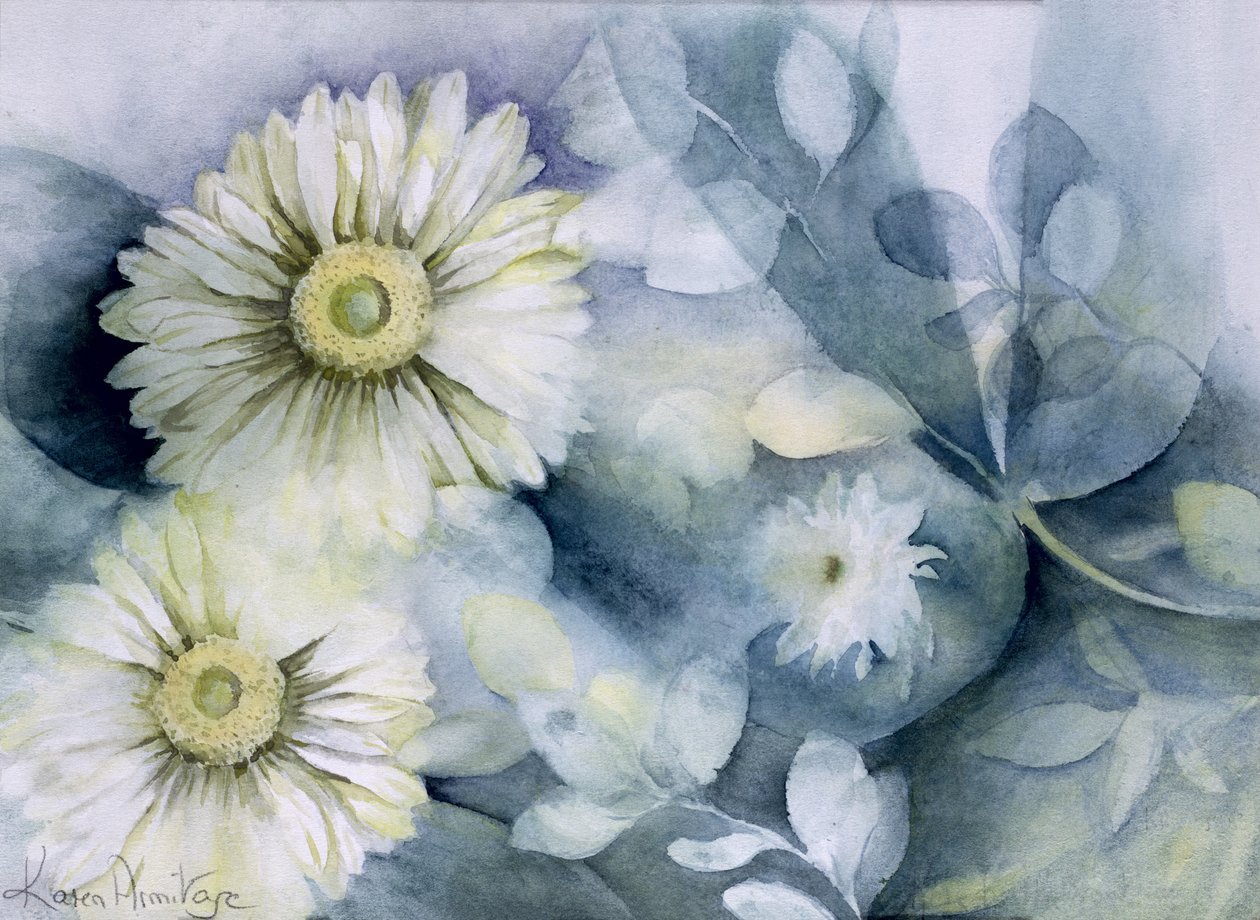 Gerbera Jamemura Godt af Karen Armitage