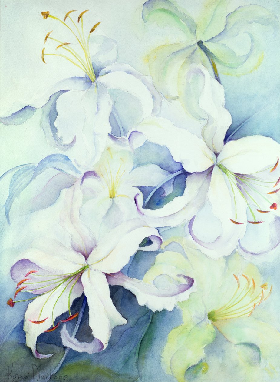 Lilium, kejserligt guld af Karen Armitage