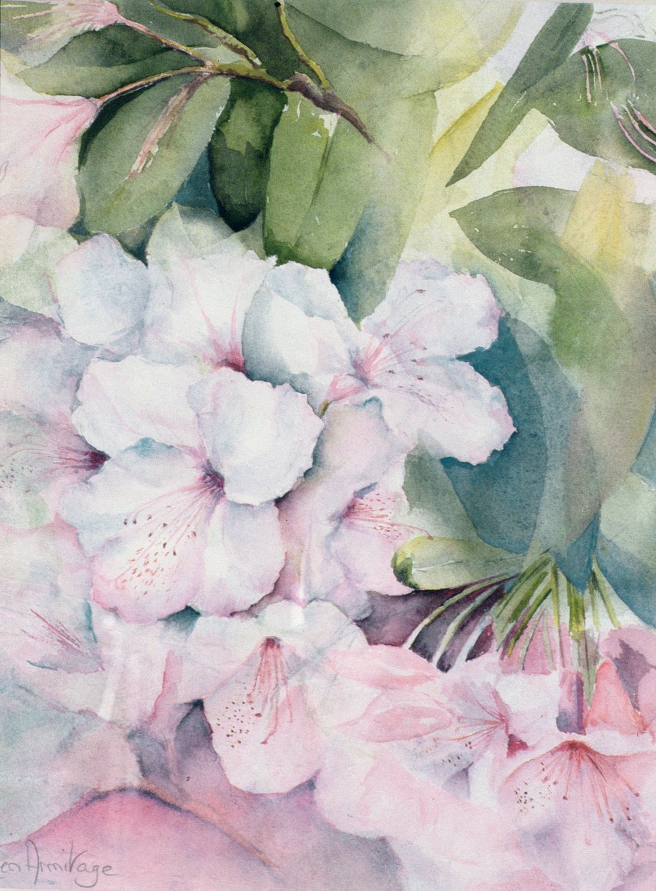 Morgenmagi af Karen Armitage