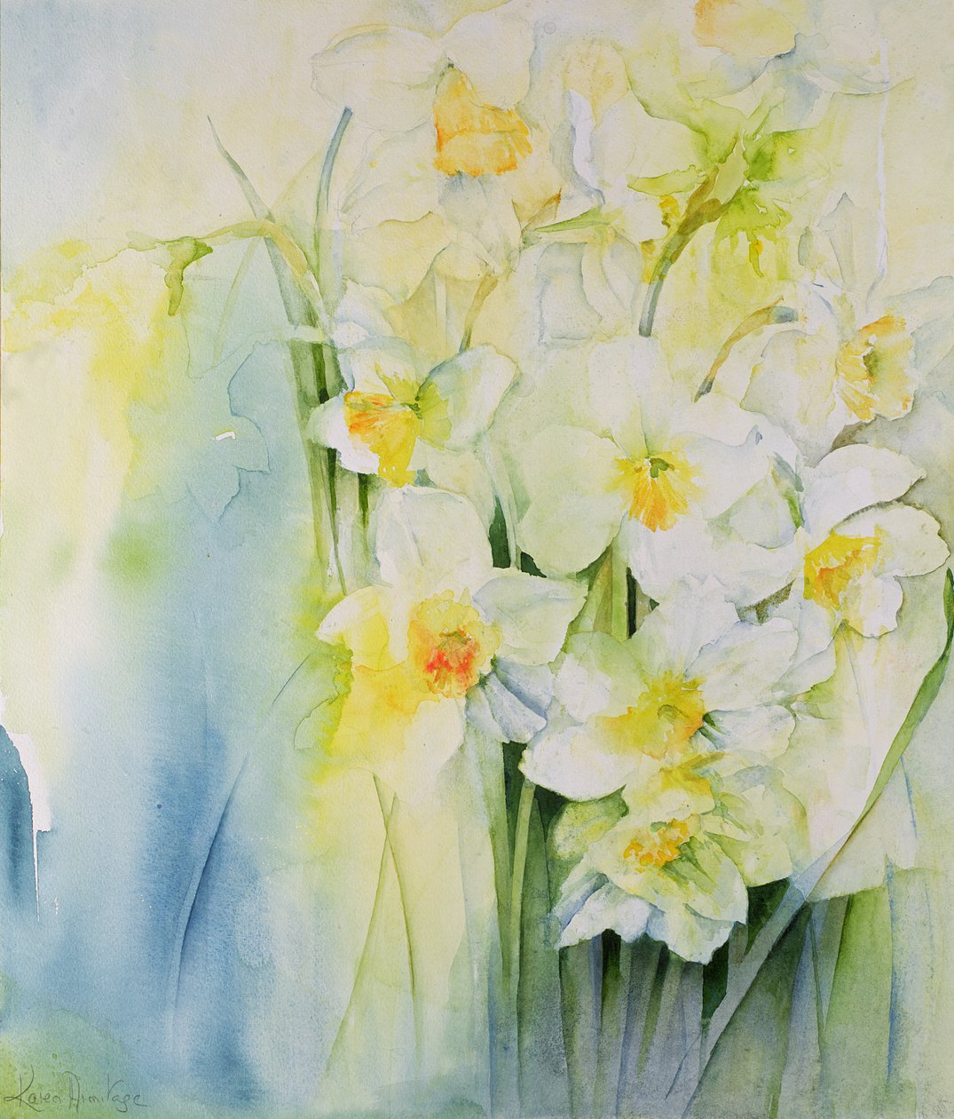 Narcissi og fresia af Karen Armitage