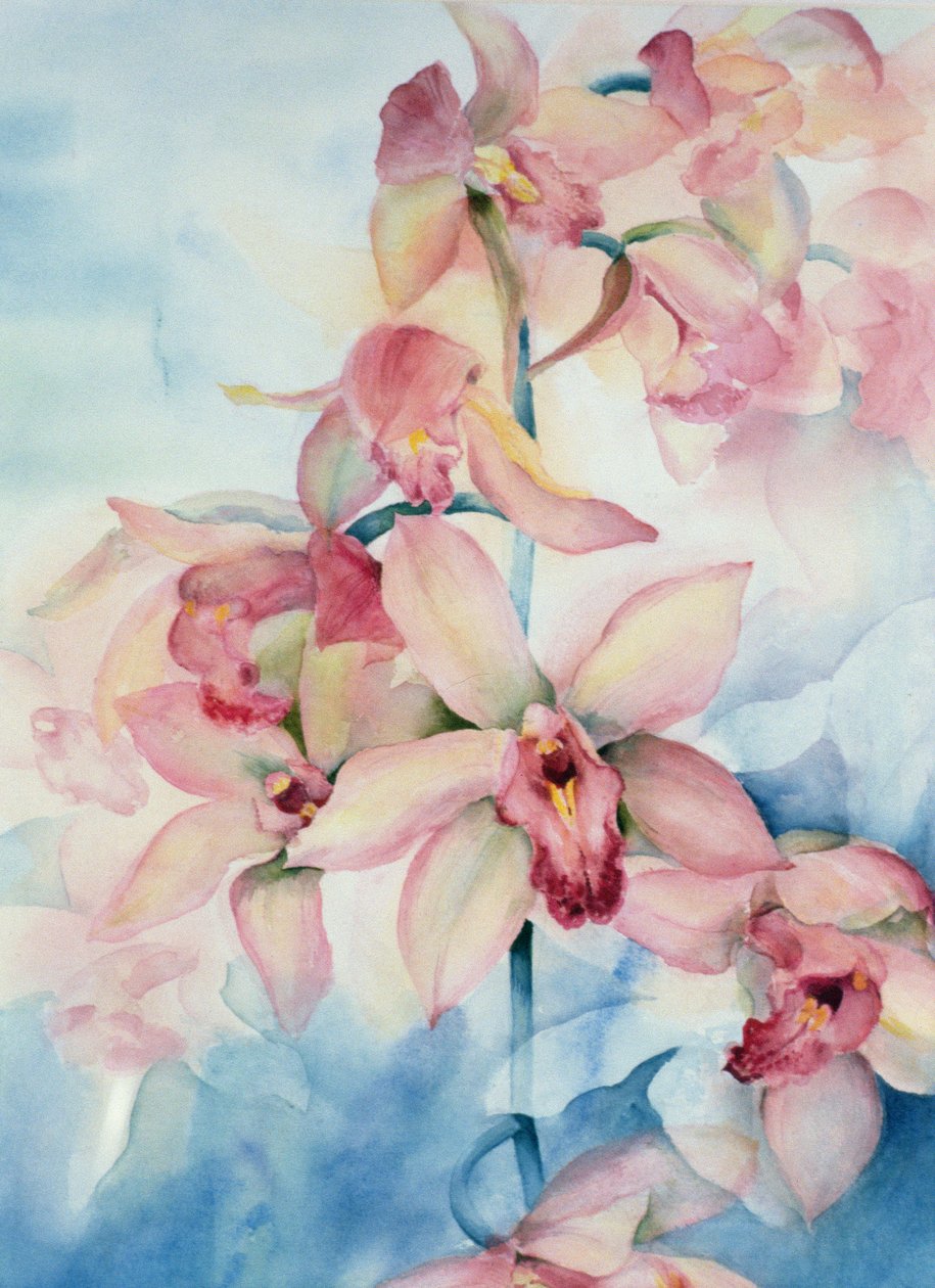 Orkidé Cymbidium Ramley af Karen Armitage