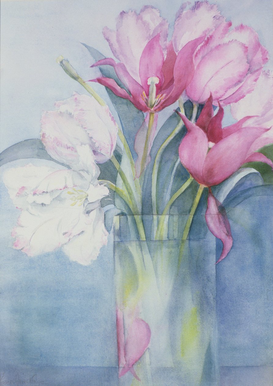 Pink papegøje tulipaner og Marlette af Karen Armitage