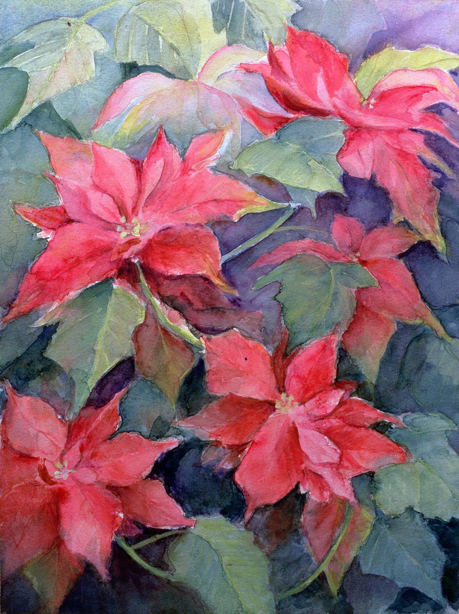 Julestjerne af Karen Armitage