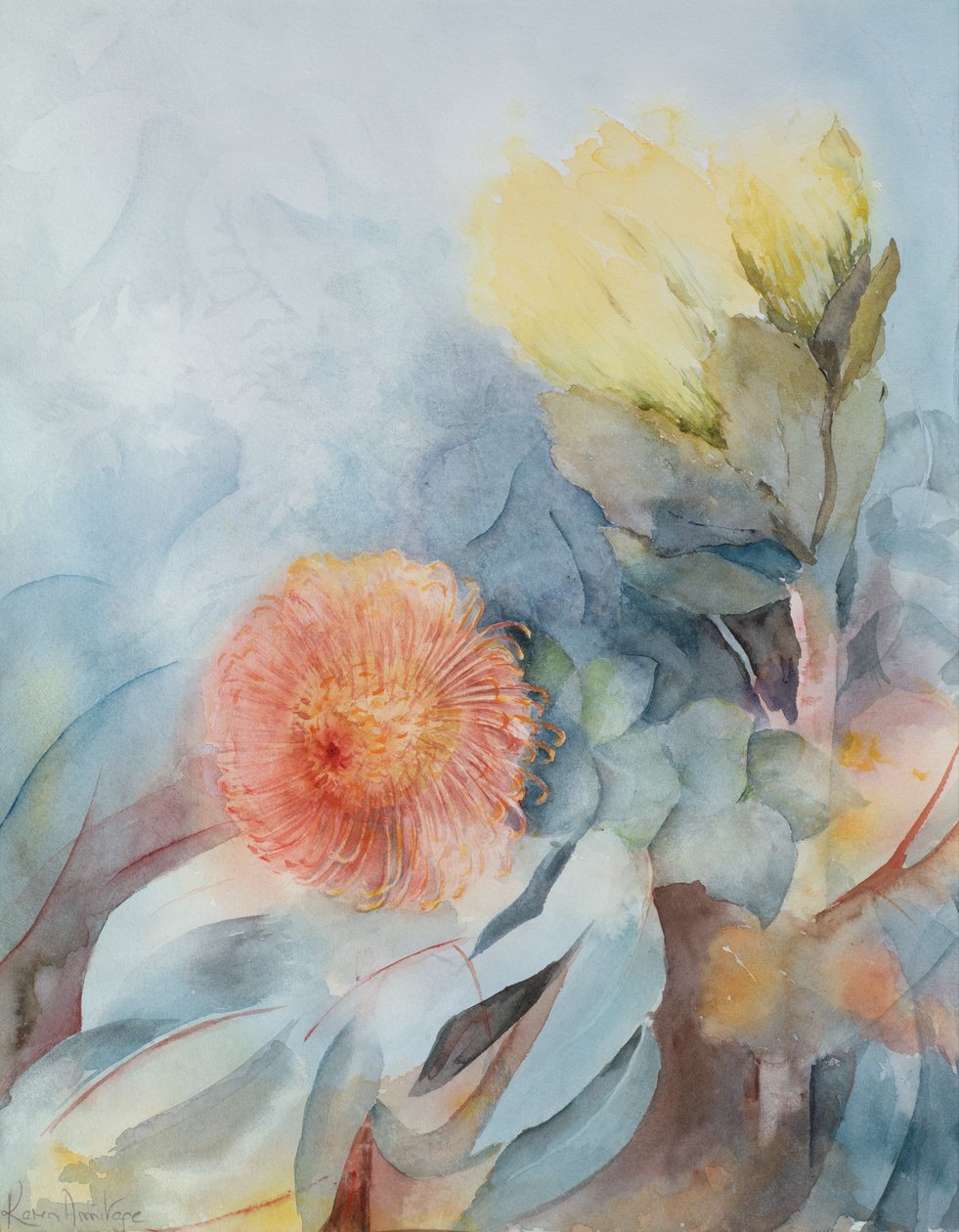 Sydafrika Protea af Karen Armitage