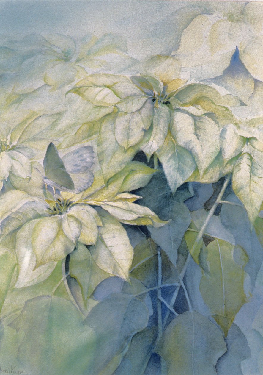 Hvid julestjerne (lodret) af Karen Armitage