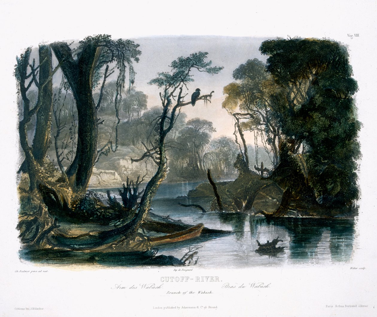Cutoff River, Branch of the Wabash, plade 8 fra bind 1 af 