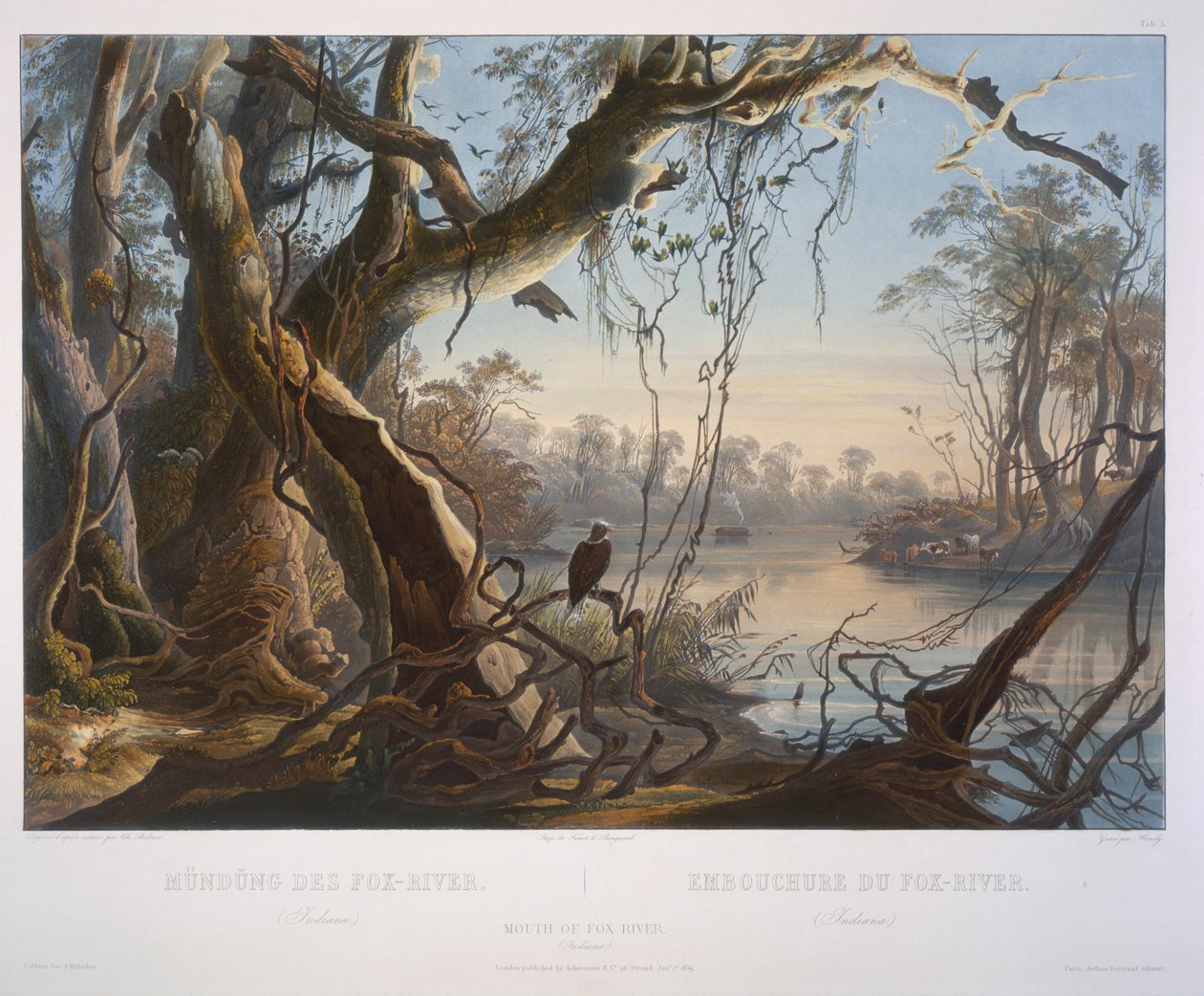 Udmundingen af Fox River (Indiana) af Karl Bodmer