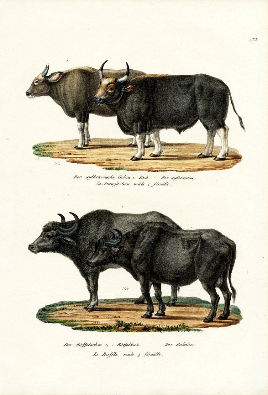 I dag, 1824 af Karl Joseph Brodtmann