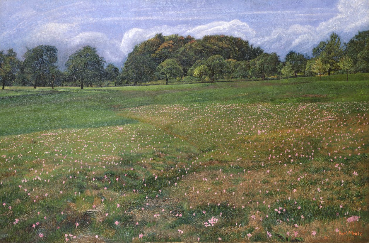 En mark med efterårskrokus, 1908 af Karl Mediz