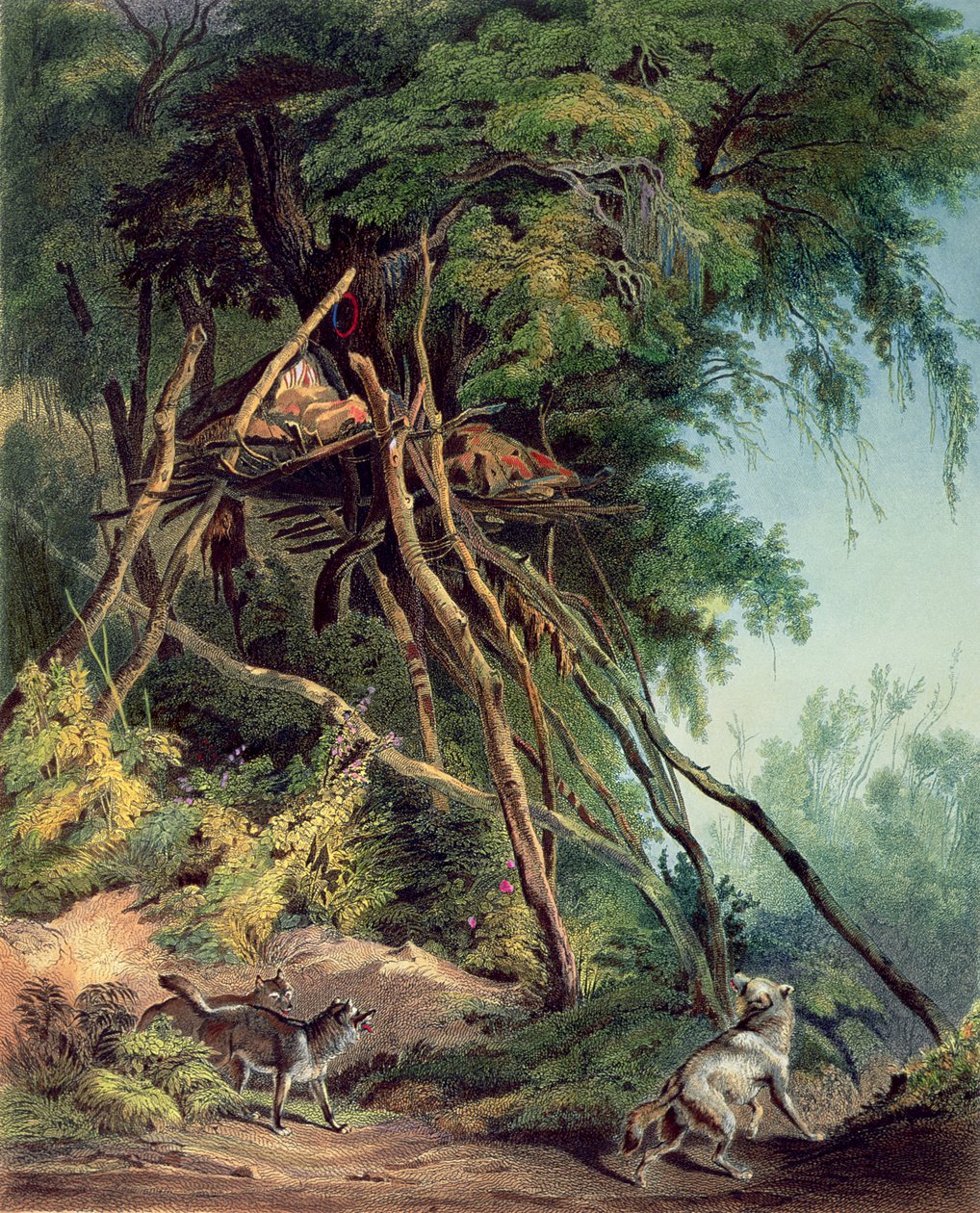 Assiniboin-indianernes grave på træer, planche 30 fra bind 2 af `Travels in the Interior of North America af Karl (after) Bodmer