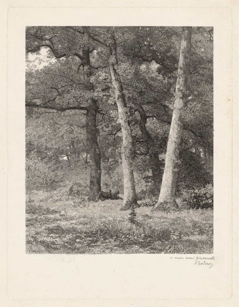 En lysning i skoven af Karl Bodmer