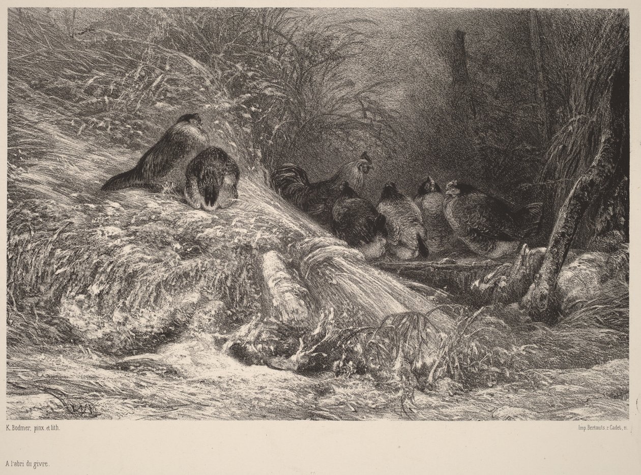 I ly for frost af Karl Bodmer