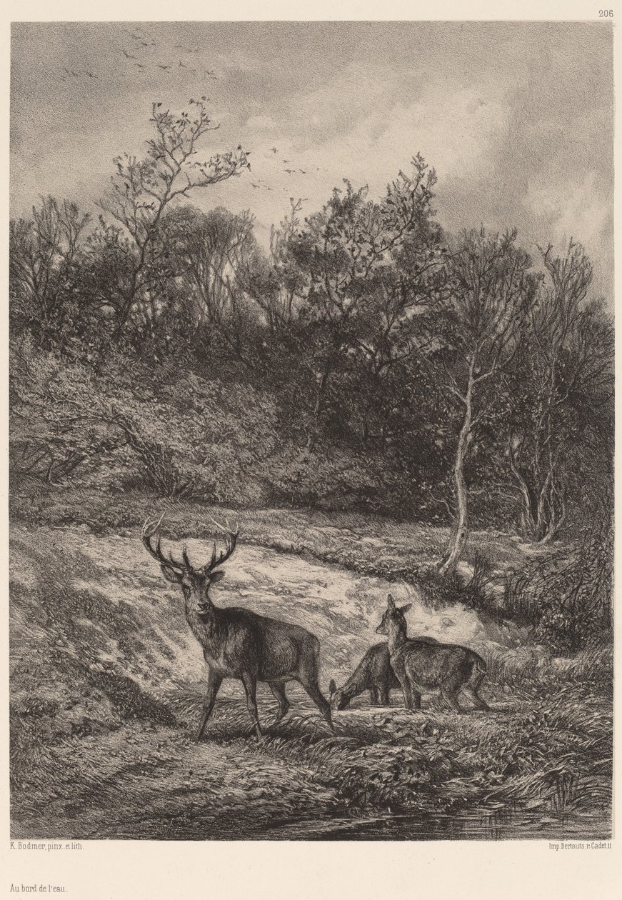 I vandkanten. af Karl Bodmer