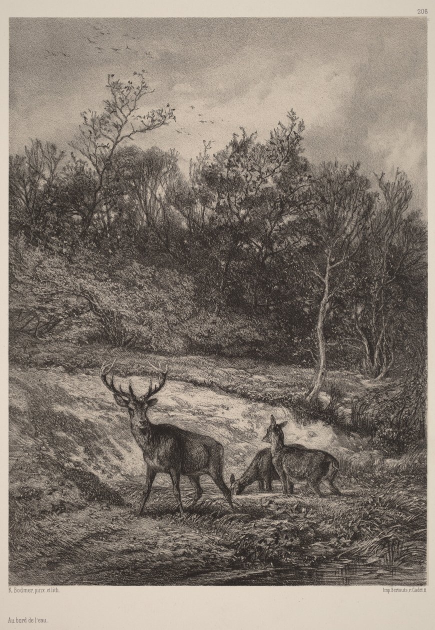 Ved vandet af Karl Bodmer