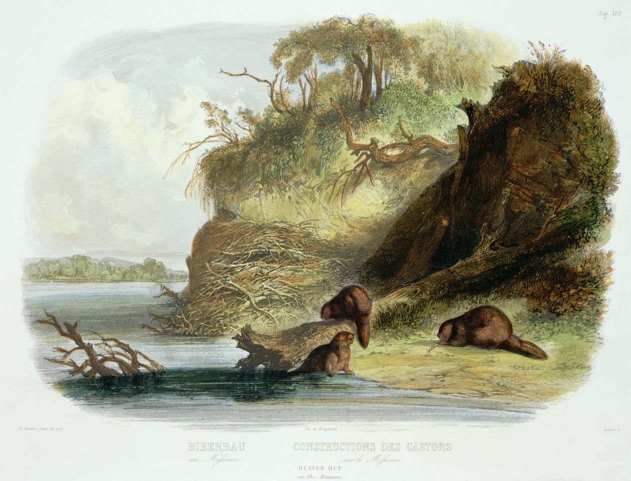Beaver Hut on the Missouri, plade 17 fra bind 1 af `Rejser i det indre af Nordamerika