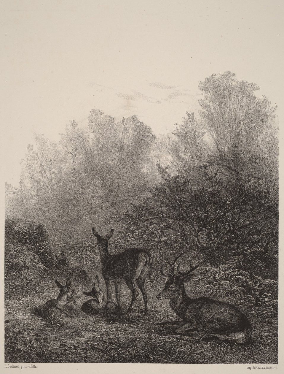 Hinder i hvile af Karl Bodmer
