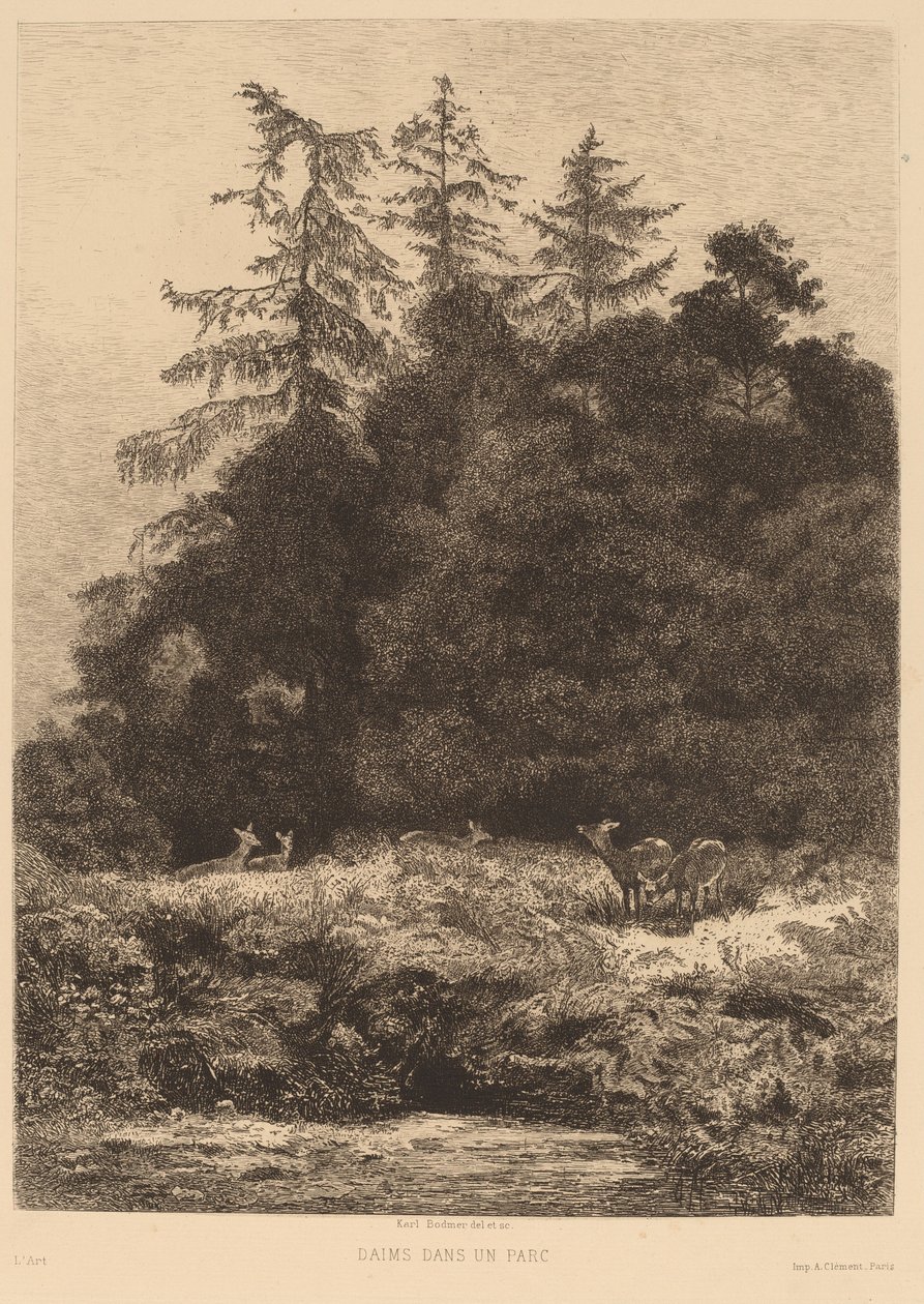 Dådyr i en park af Karl Bodmer