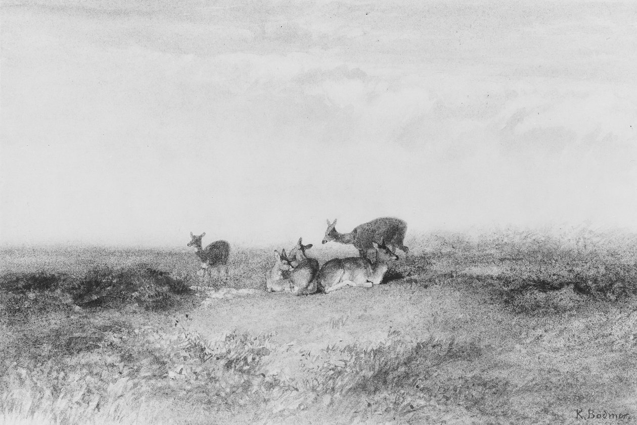 Hjort i et landskab af Karl Bodmer