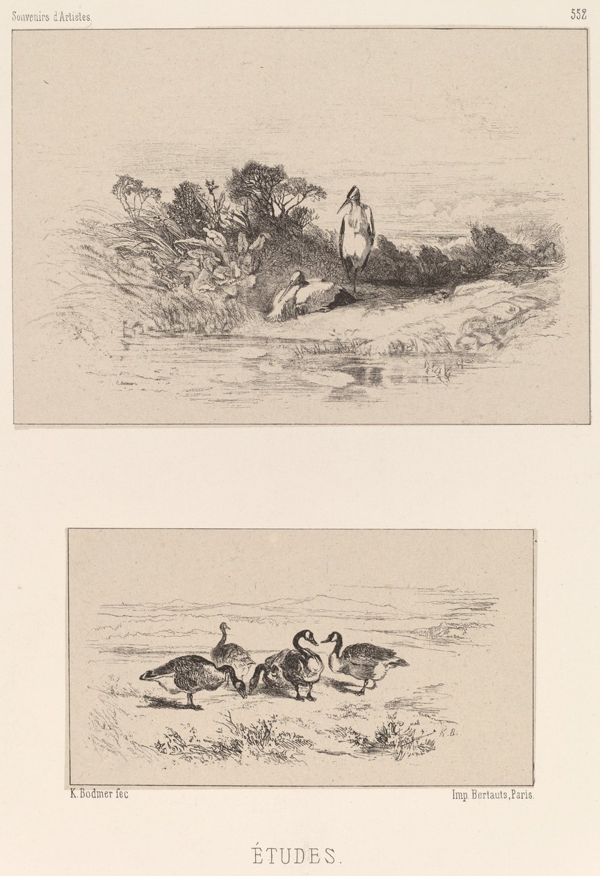 Studier af Karl Bodmer