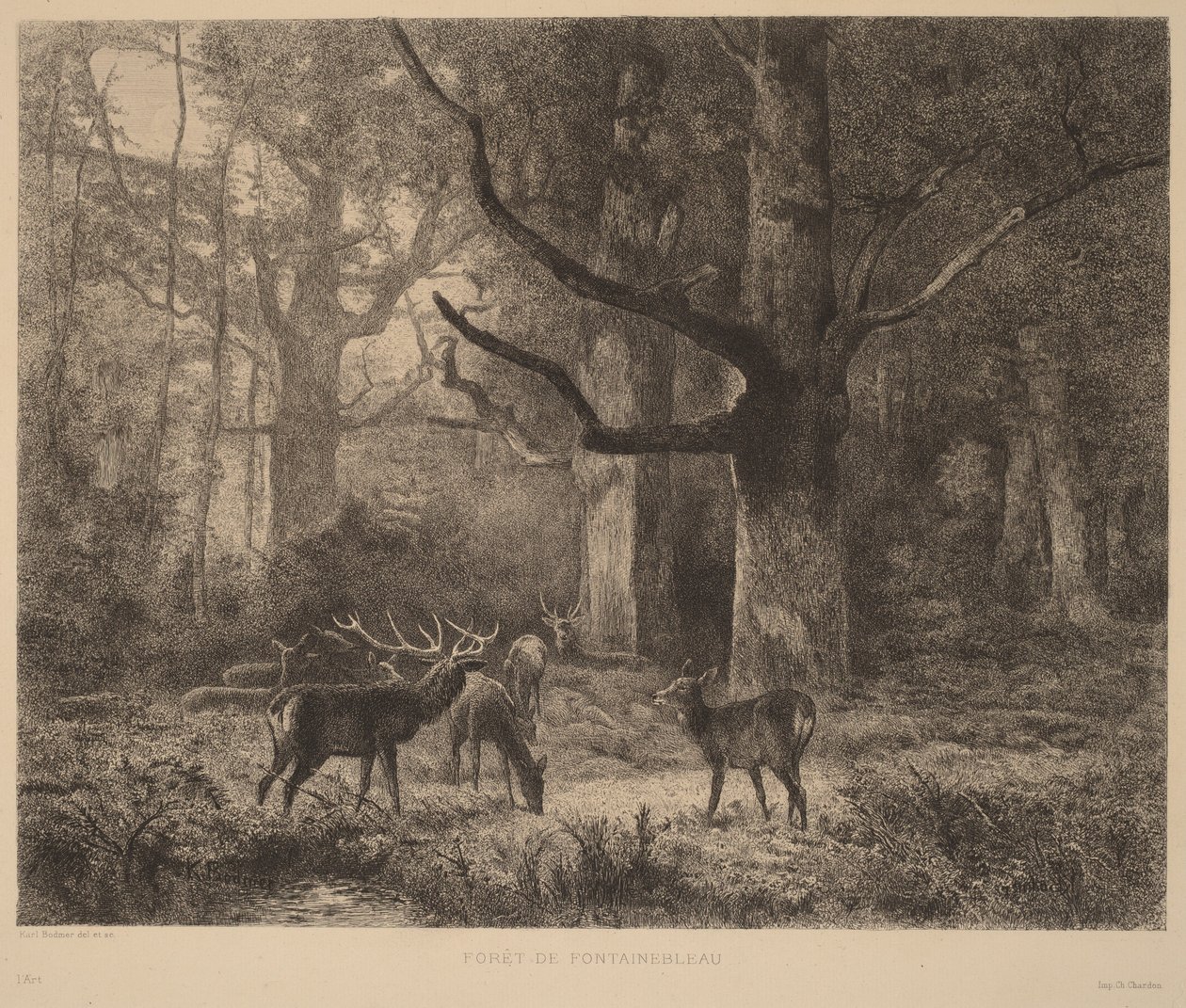 Fontainebleau-skoven af Karl Bodmer