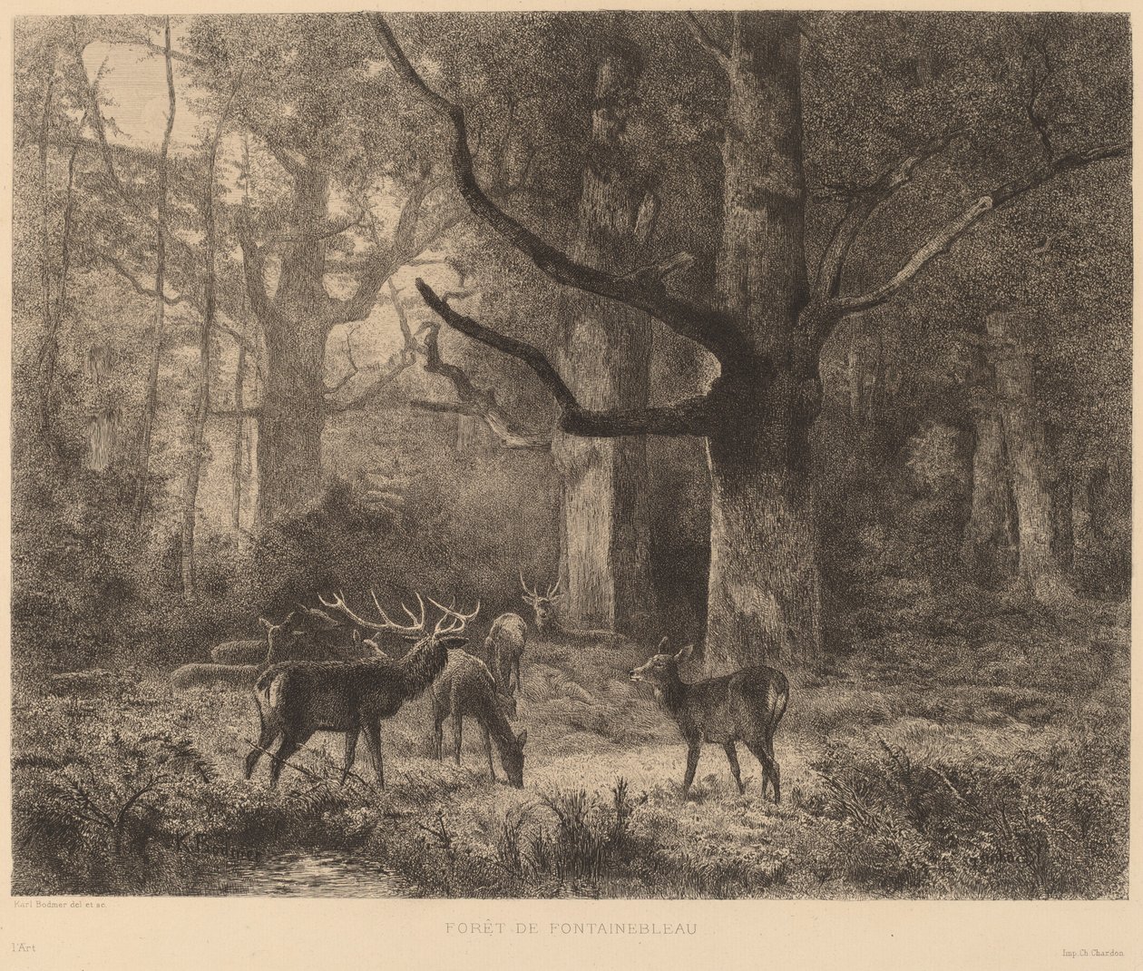 Fontainebleau Skov af Karl Bodmer