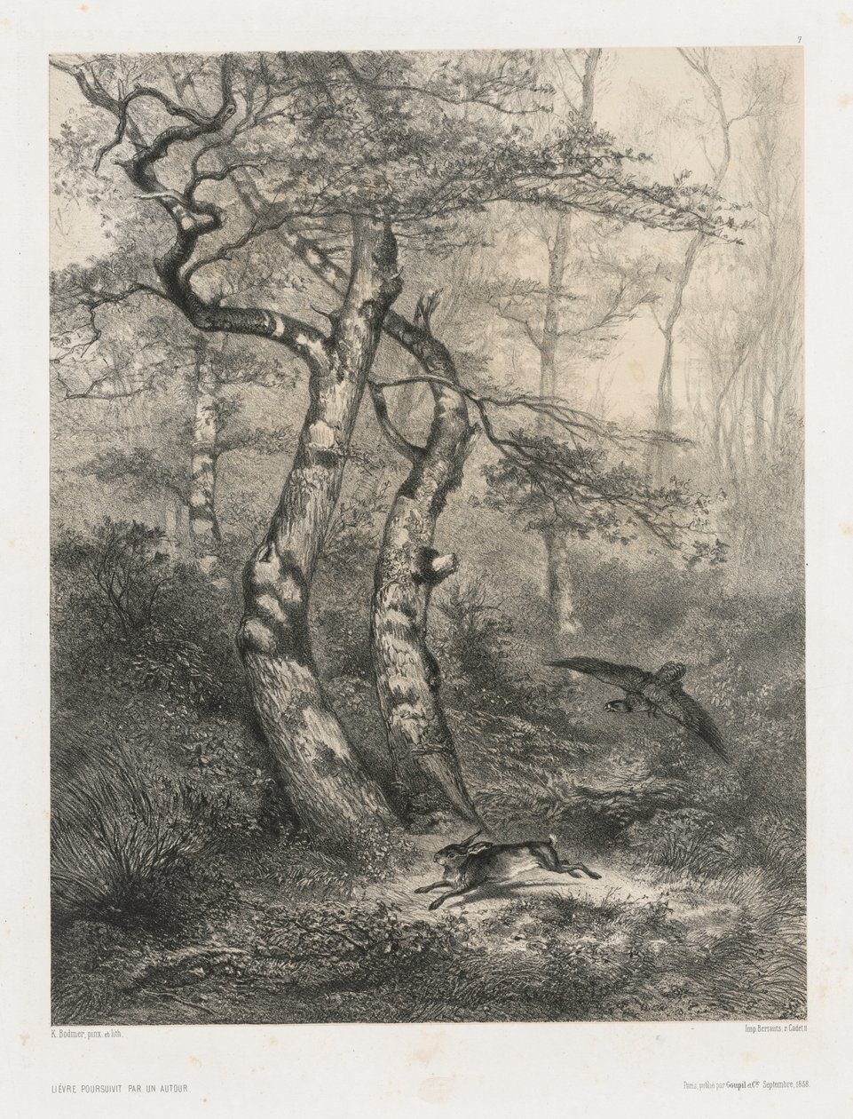 Hare forfulgt af en gåhøg af Karl Bodmer