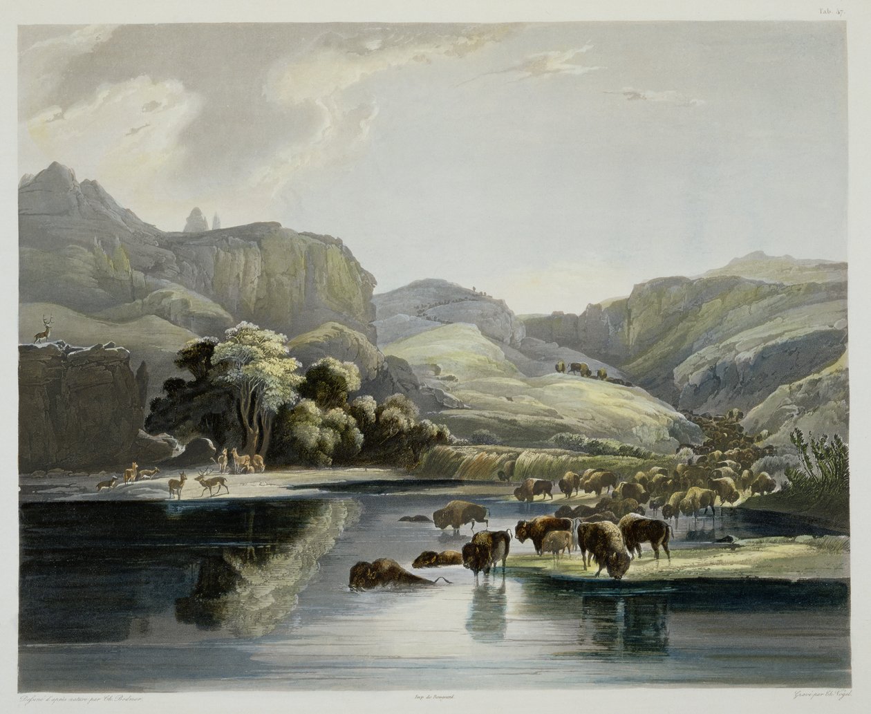 Herds of Bison and Elk on the Upper Missouri, plade 47 fra bind 2 af 