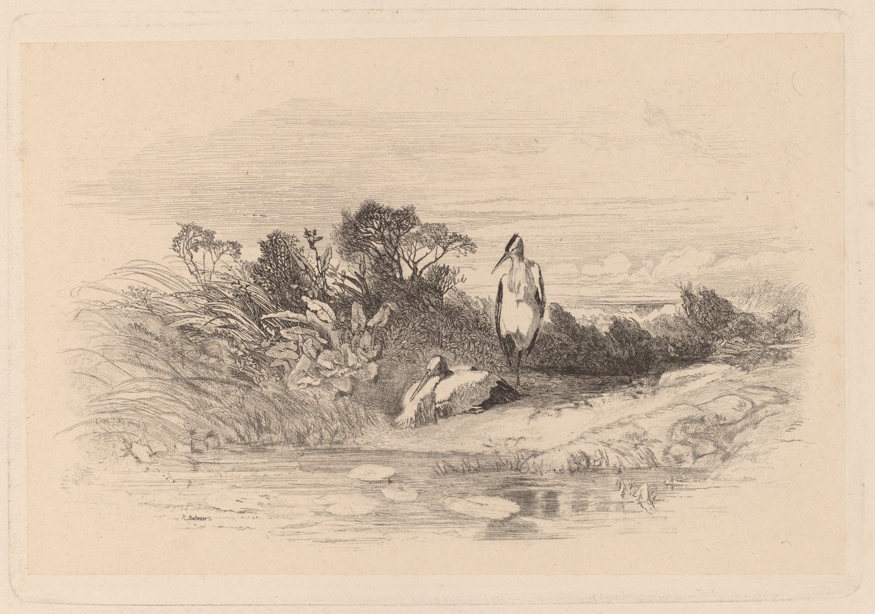 Hejrer af Karl Bodmer