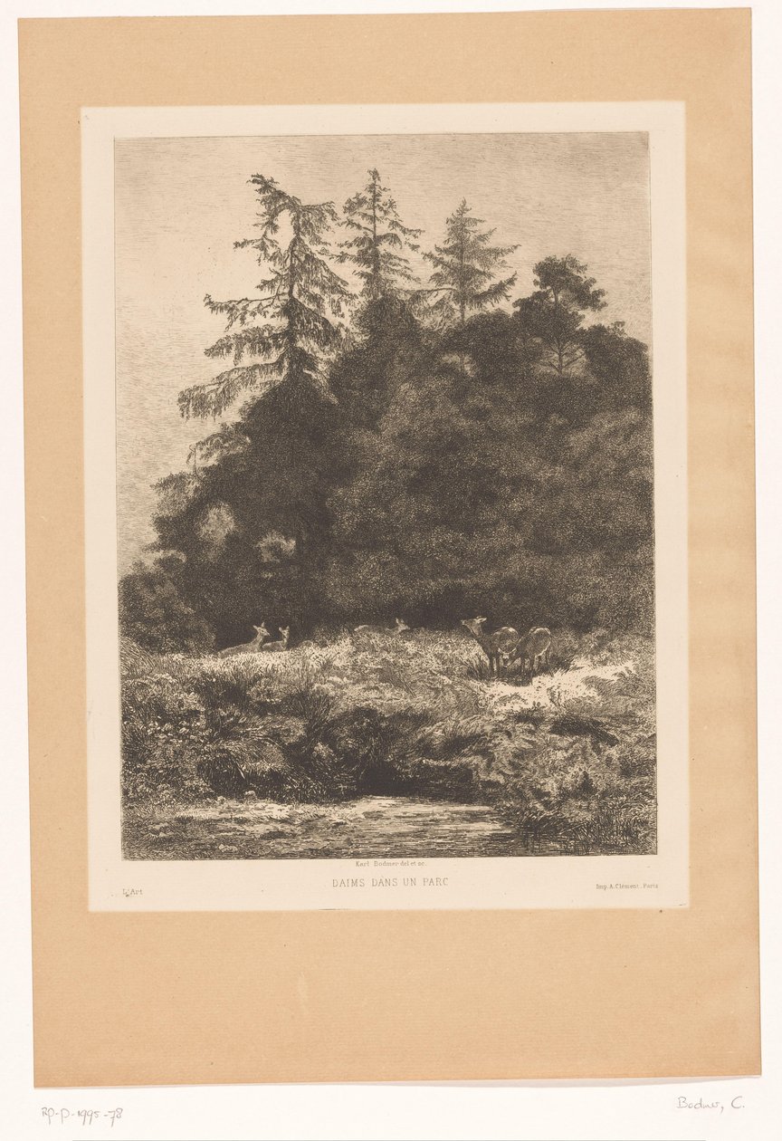 Hjorte i udkanten af ​​en skov Daims dans un parc (titel på objekt) af Karl Bodmer