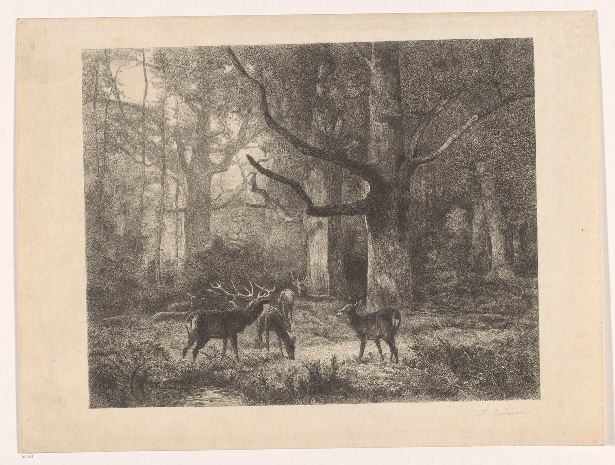 Hjorte i en skov af Karl Bodmer