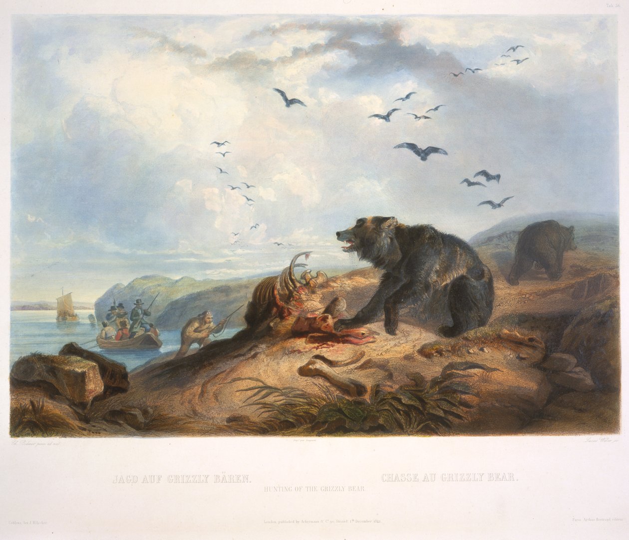 Jagt på Grizzlybjørnen af Karl Bodmer
