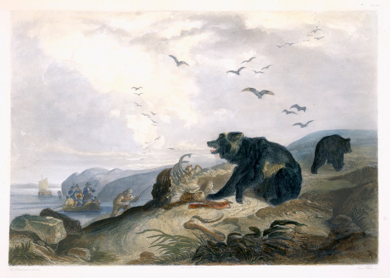 Hunting of the Grizzly Bear, plade 36 fra bind 2 af 
